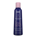 Ficha técnica e caractérísticas do produto Richée Soul Blond Shampoo para Loiro Desamarelador 250ml - Richée Professional