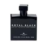 Ficha técnica e caractérísticas do produto Royal Black Arno Sorel - Perfume Masculino - Eau de Toilette 100ml