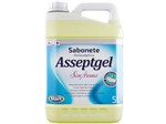 Ficha técnica e caractérísticas do produto Sabonete Antisséptico Asseptgel Sem Aroma 5l Bacgel Start - Loja Cleanup