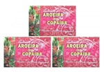 Ficha técnica e caractérísticas do produto Sabonete de Aroeira e Copaiba - Bionatura