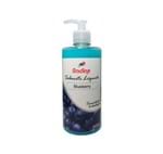 Ficha técnica e caractérísticas do produto Sabonete Líquido Blueberry 500ml - Radine