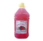 Ficha técnica e caractérísticas do produto Sabonete Líquido Frutas Vermelhas 1,9L - Kelma