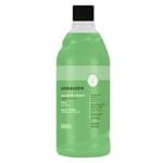 Ficha técnica e caractérísticas do produto Sabonete Líquido Refil Hidraderm - Maçã Verde 500ml