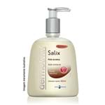 Ficha técnica e caractérísticas do produto Salix Sabonete Liquido, 300 Ml, Dermotivin