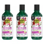 Ficha técnica e caractérísticas do produto Salon Line Maria Natureza Festival das Flores Shampoo 350ml (Kit C/03)