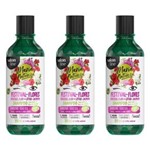 Ficha técnica e caractérísticas do produto Salon Line Maria Natureza Festival das Flores Shampoo 350ml - Kit com 03