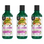 Ficha técnica e caractérísticas do produto Salon Line Maria Natureza Poder das Castanhas Shampoo 350ml (Kit C/03)