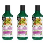 Ficha técnica e caractérísticas do produto Salon Line Maria Natureza Poder das Castanhas Shampoo 350ml - Kit com 03