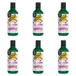 Ficha técnica e caractérísticas do produto Salon Line Maria Natureza Poder das Castanhas Shampoo 350ml - Kit com 06
