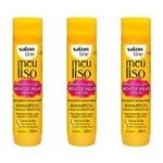 Ficha técnica e caractérísticas do produto Salon Line Meu Liso + Liso Amido de Milho Shampoo 300ml - Kit com 03