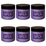 Ficha técnica e caractérísticas do produto Salon Opus Violet Máscara 400g - Kit com 06