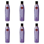 Ficha técnica e caractérísticas do produto Salon Opus Violet Shampoo 350ml - Kit com 06