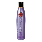Ficha técnica e caractérísticas do produto Salon Opus Violet Shampoo 350ml