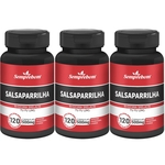 Ficha técnica e caractérísticas do produto Salsaparrilha - Semprebom - 360 caps - 500 mg