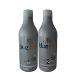 Salvatore Escova Progressiva Blue Gold Premium Sem Formol 2X500- FAB Salvatore Cosmeticos