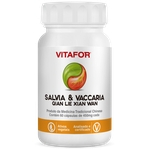Ficha técnica e caractérísticas do produto Salvia & Vaccaria - Qian Lie Xian Wan - Vitafor