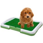 Ficha técnica e caractérísticas do produto Sanitario Canino Puppy Potty Pad Grama Artificial Cbr01119