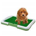 Sanitario para Cães Puppy Potty Pad Grama Artificial CBR01119