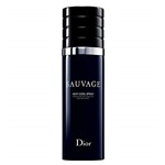 Ficha técnica e caractérísticas do produto Sauvage Cool Spray Dior Perfume Masculino - Eau de Toilette 100ml