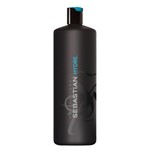 Ficha técnica e caractérísticas do produto Sebastian Professional - Hair Care - Hydre - Shampoo 1000ml