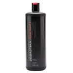 Ficha técnica e caractérísticas do produto Sebastian Professional Penetraitt Shampoo 1 Litro