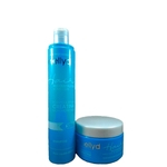 Ficha técnica e caractérísticas do produto Shampoo 300ml e Máscara 230ml Hair Reconstrutor Mellyd