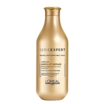 Ficha técnica e caractérísticas do produto Shampoo absolut repair córtex lipidium 300 ml