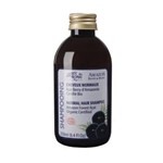 Ficha técnica e caractérísticas do produto Shampoo Açai Antioxidante Orgânico 250ml Arte dos Aromas - 250ml