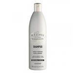 Ficha técnica e caractérísticas do produto Shampoo Alfaparf IL Salone Brilho e Vitalidade 500ml