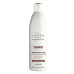 Ficha técnica e caractérísticas do produto Shampoo Alfaparf IL Salone - Proteção da Cor 500ml