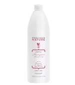 Ficha técnica e caractérísticas do produto Shampoo Alfaparf Precious Nature Thirsty Hair 1000ml