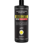 Ficha técnica e caractérísticas do produto Shampoo Anabolizante Capilar Natumaxx 1Litro