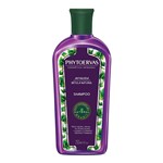 Ficha técnica e caractérísticas do produto Shampoo Antiqueda Bétula Natural 250ml - Phytoervas
