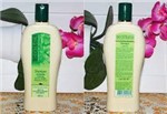 Ficha técnica e caractérísticas do produto Shampoo Antiqueda Jaborandi 500 ML Bio Extratus - Bioextratus