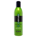 Shampoo Antiqueda Trentment - 250 Ml