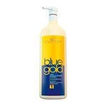 Ficha técnica e caractérísticas do produto Shampoo Antirresíduos Blue Gold Salvatore