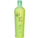 Ficha técnica e caractérísticas do produto Shampoo Bain de Terre Lemongrass Volumizing 400Ml