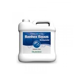 Ficha técnica e caractérísticas do produto Shampoo Banhex Equus Branqueador - 5 Litros - Lavizoo
