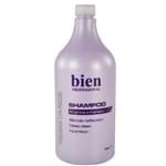 Ficha técnica e caractérísticas do produto Shampoo Bien Resistance 1000ml