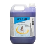 Ficha técnica e caractérísticas do produto Shampoo Branqueador Splash 5 Litros