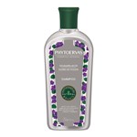 Ficha técnica e caractérísticas do produto Shampoo Desamarelador Flores de Violeta 250ml - Phytoervas