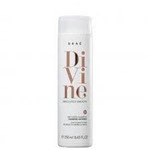 Ficha técnica e caractérísticas do produto Shampoo Divine Brae Anti-Frizz 250Ml