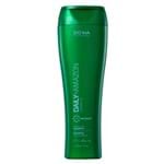 Ficha técnica e caractérísticas do produto Shampoo DO.HA Daily Amazon 250ml
