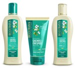 Ficha técnica e caractérísticas do produto Shampoo e Condic + Finalizador Cachos e Crespos Bio Extratus