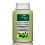 Ficha técnica e caractérísticas do produto Shampoo Ecologie Ultra Hidratante 275Ml