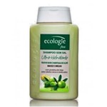 Ficha técnica e caractérísticas do produto Shampoo Ecologie Ultra Hidratante 275ml
