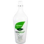 Ficha técnica e caractérísticas do produto Shampoo Ecoplus Argan Oil 1 Litro