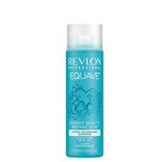 Ficha técnica e caractérísticas do produto Shampoo Equave Instant Beauty Hydro 250Ml Revlon