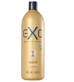 Ficha técnica e caractérísticas do produto Shampoo Exo Hair Access Professional 1000ml