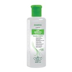 Ficha técnica e caractérísticas do produto Shampoo Flores e Vegetais Liso Absoluto Pré Escova - 310ml